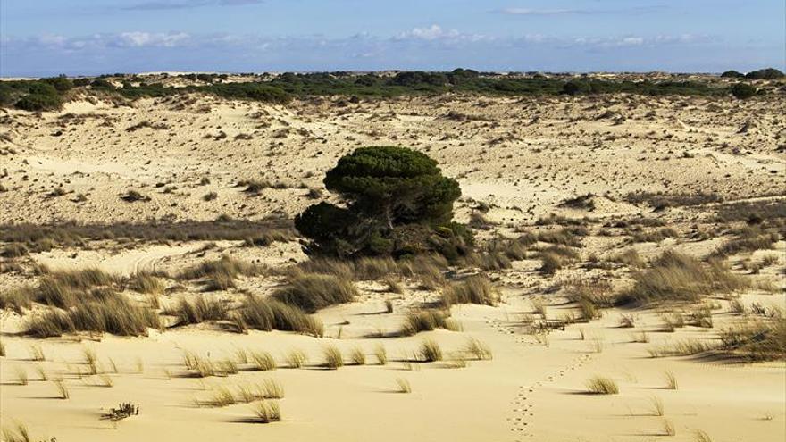 Europa censura el almacén de gas en Doñana y pide paralizarlo