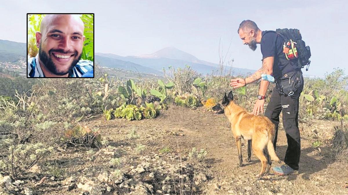 Un perro del Grupo Canino de Salvamento de Protección Civil del Ayuntamiento de La Laguna, en plena búsqueda.