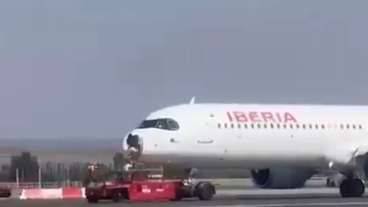 Un avión que hacía el trayecto Madrid-París tiene que regresar de urgencia a Barajas tras chocar con un ave