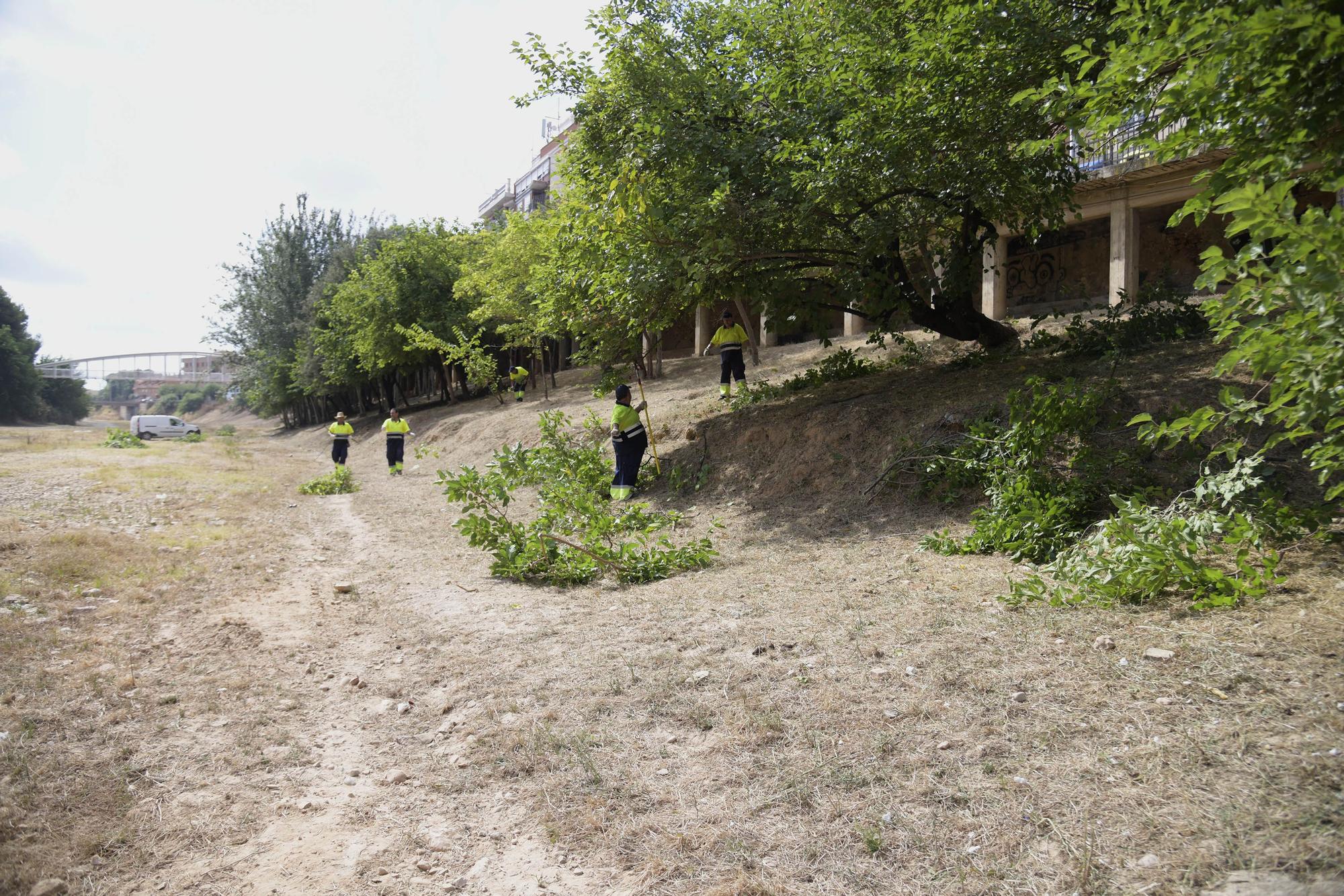 Paiporta lleva a cabo la limpieza anual del barranco