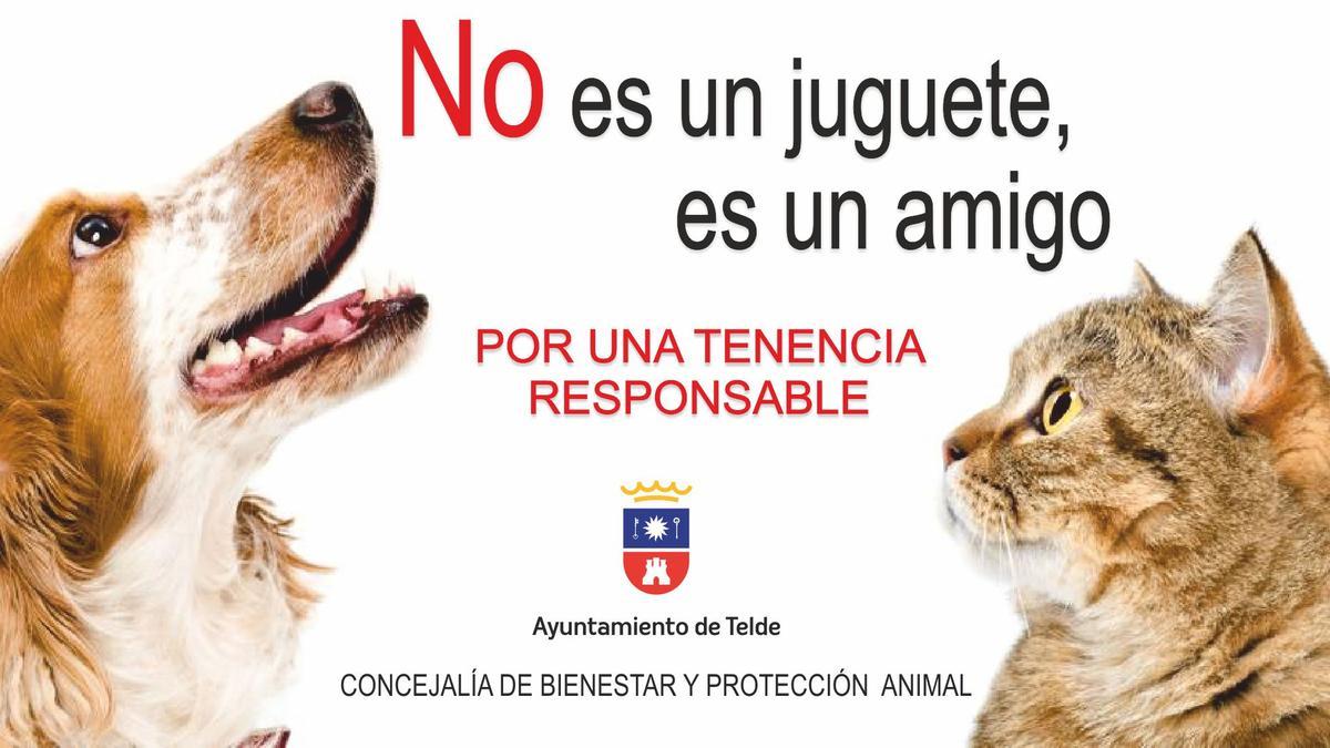 CARTEL NO ES UN JUGUETE, ES UN AMIGO