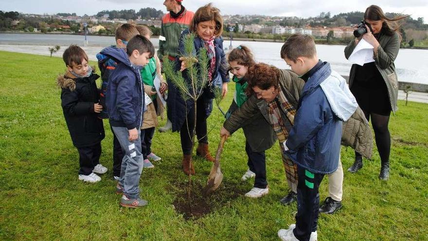 Escolares de Culleredo y de Cambre celebran el Día del Árbol