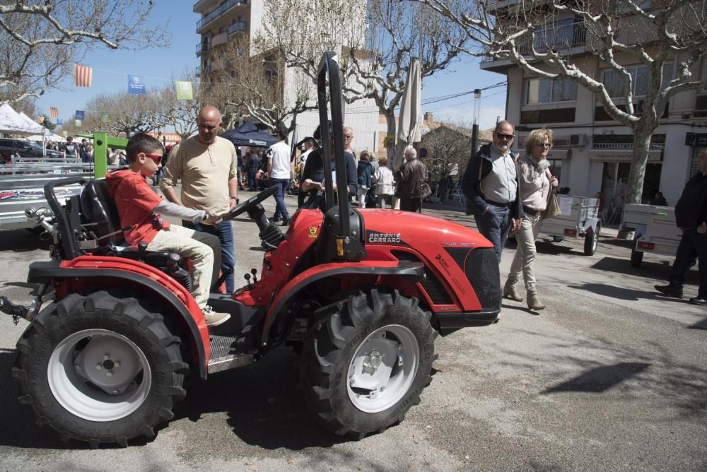 Fira de Primavera de Navàs