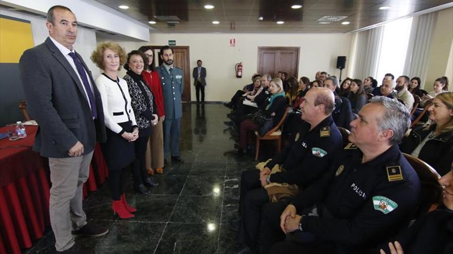 Córdoba recibirá 650.000 euros para la lucha contra la violencia machista