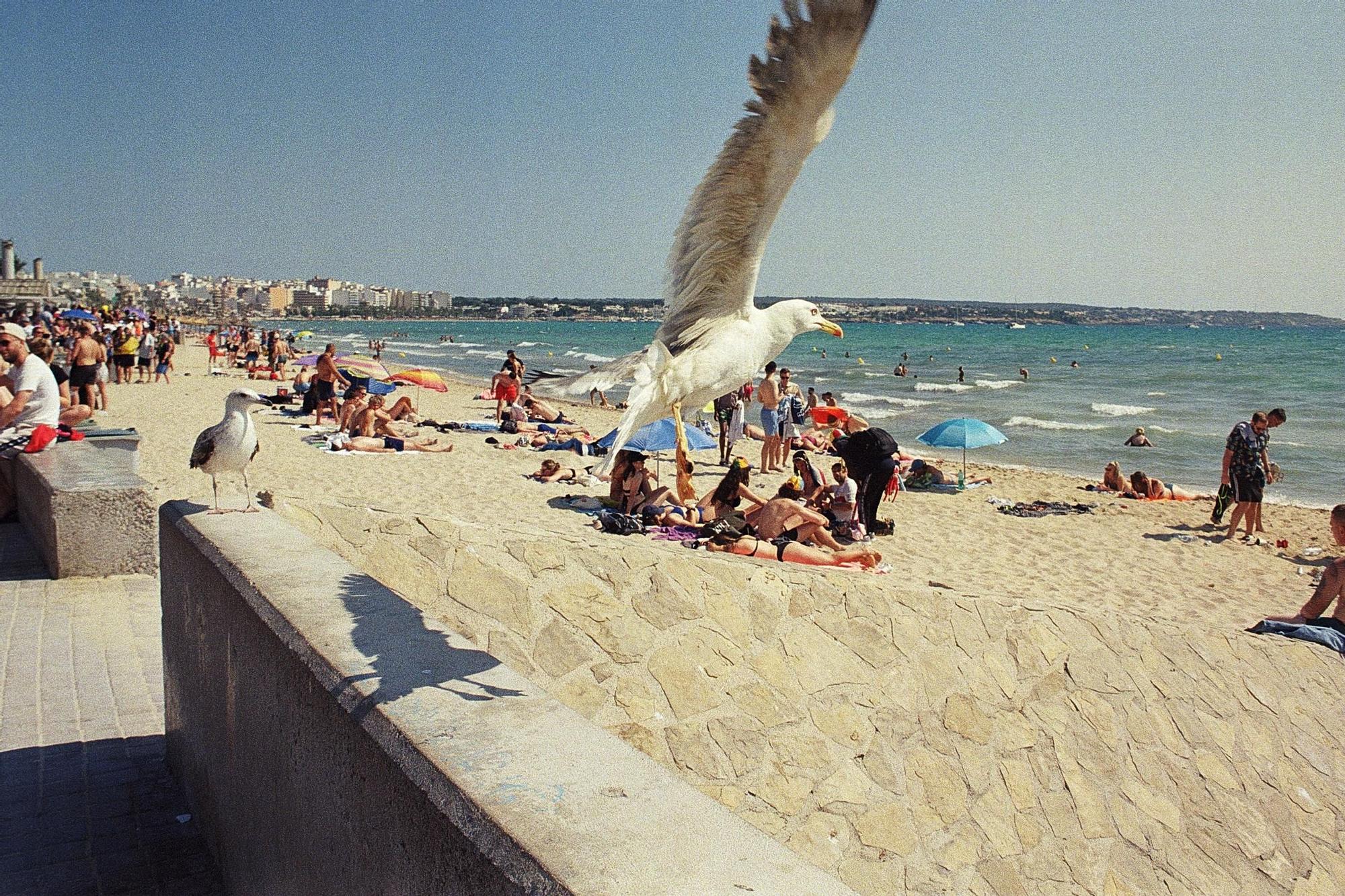 "Weine nicht, wenn der Pegel fällt": Bilder eines deutschen Straßenfotografen von der Playa de Palma auf Mallorca