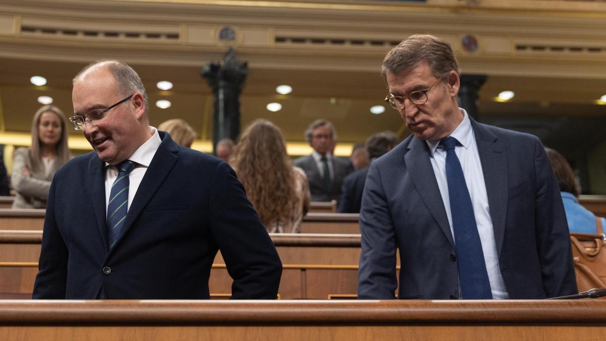 El portavoz del PP en el Congreso, Miguel Tellado, y el presidente del Partido Popular, Alberto Núñez Feijóo, en el Congreso.