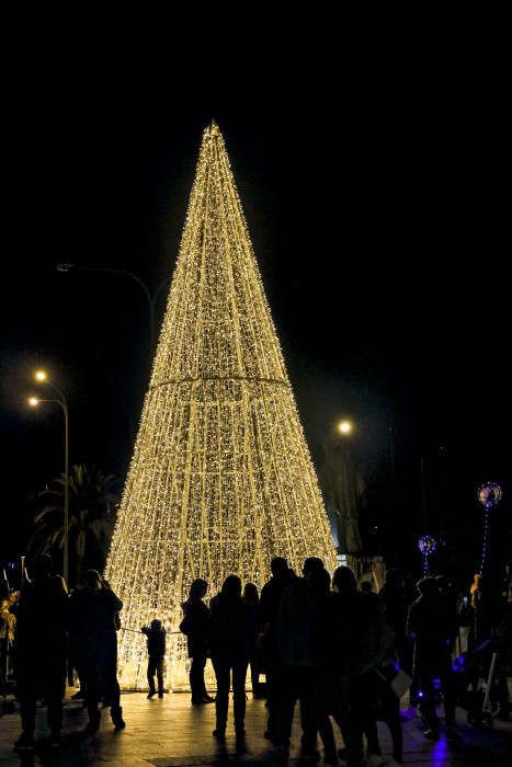 Palma "flipa" con el encendido de Navidad