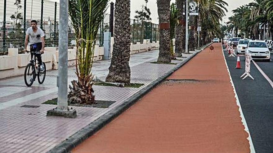 Obras en el Paseo de Chil a finales de febrero para implantar un nuevo carril bici.