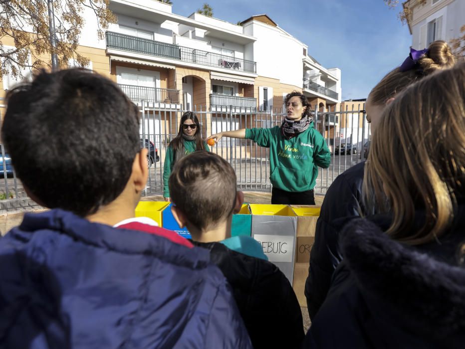 Lección verde  en es Rafal y el Vivero