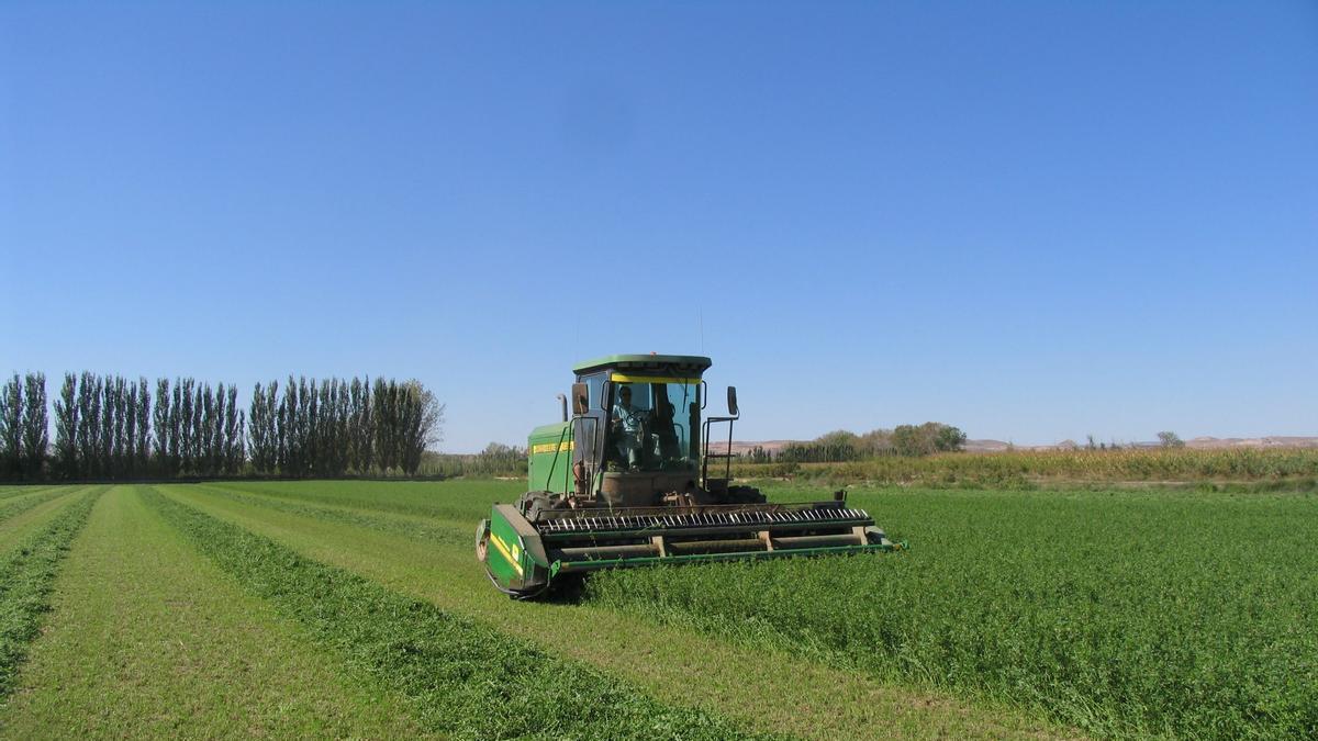 La preocupación es máxima; es la peor situación desde la pospandemia