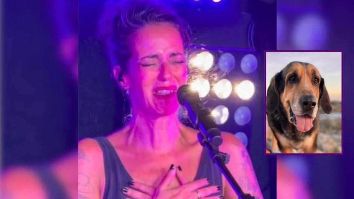 La canción habría estado dedicada a la familia del Náutico de San Vicente tras la pérdida reciente de su mascota.
