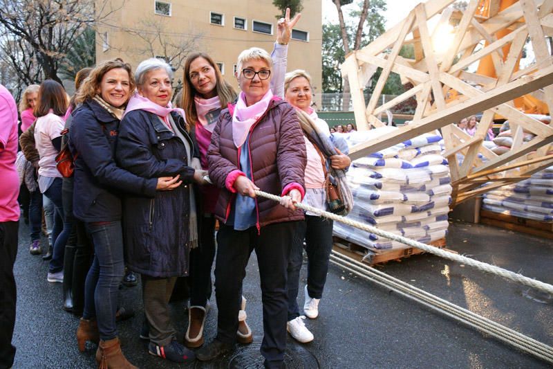 Plantà al tombe de la falla Palleter-Erudito de Orellana