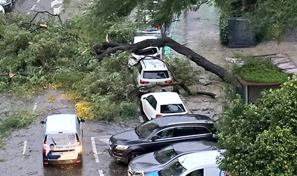 Un coche aplastado tras caer sobre él un árbol en la calle Esperanza de Triana en Sevilla.