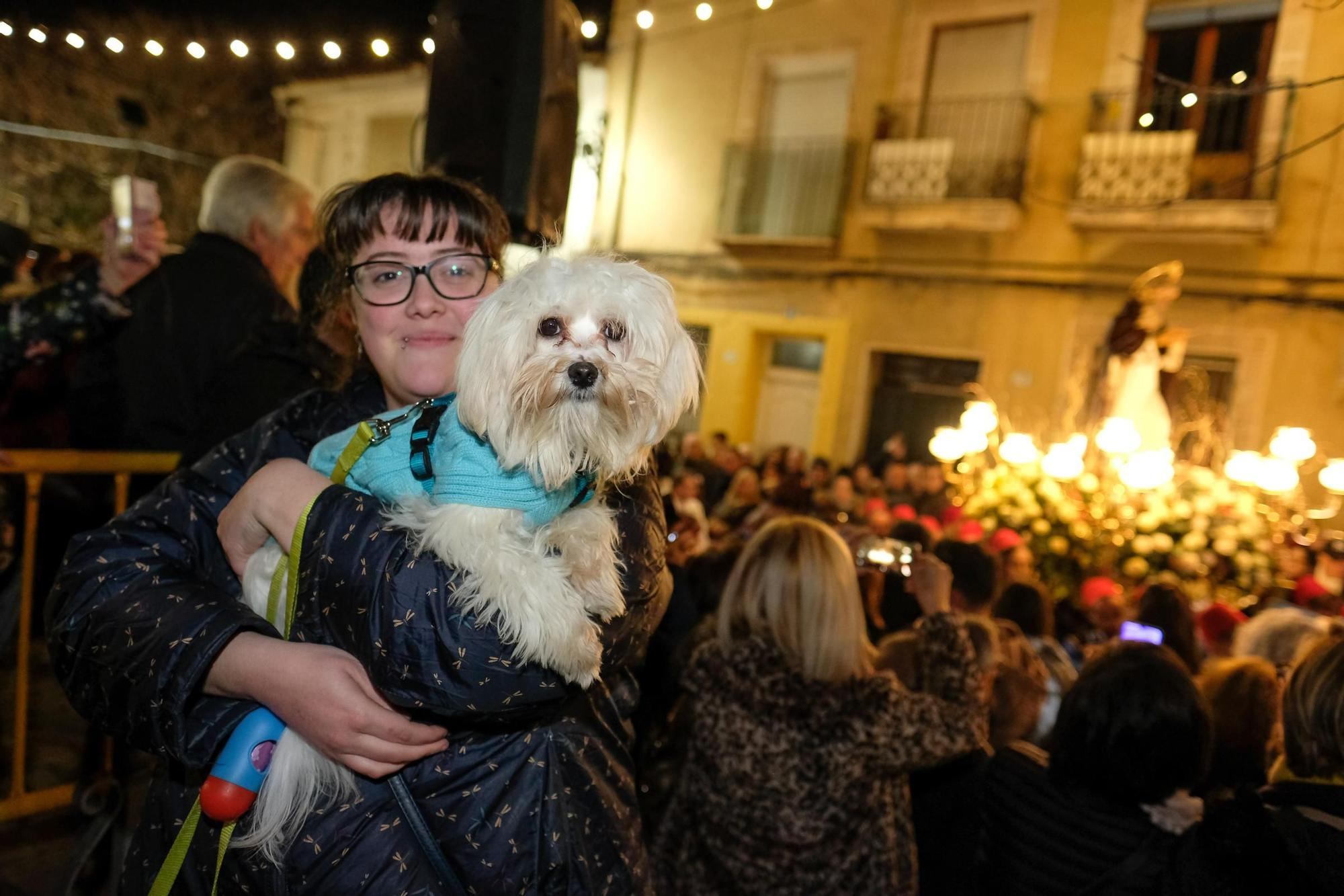 Así fue la última media fiesta de Elda el día de San Antón de 2020 dos meses antes de irrumpir la pandemia de Covid-19