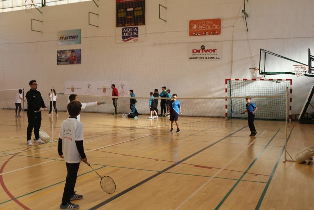 Final Regional de bádminton de Deporte Escolar