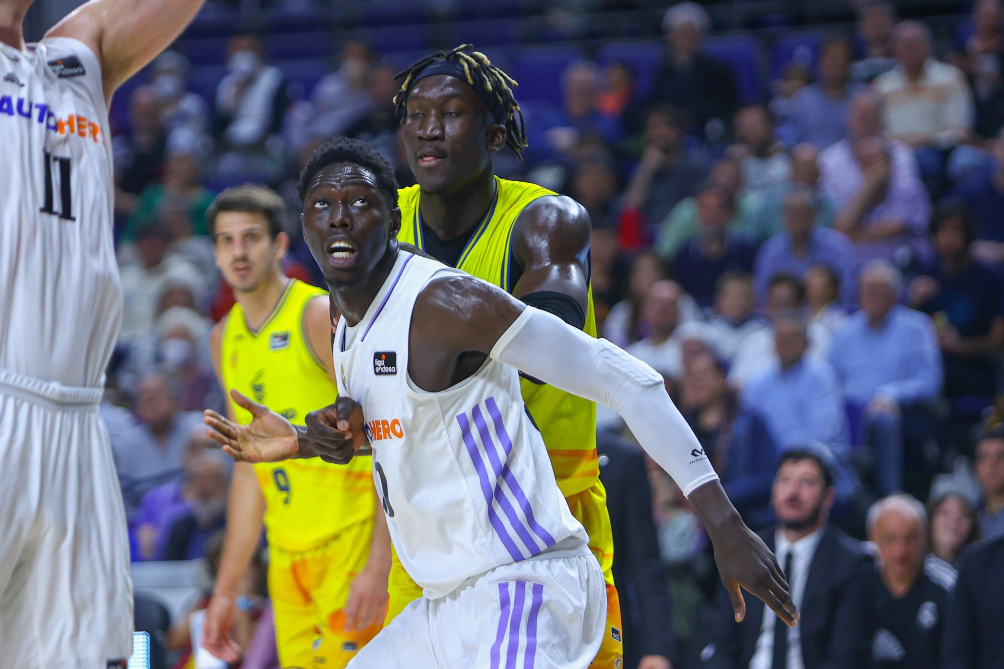 Playoff | Real Madrid - Dreamland Gran Canaria