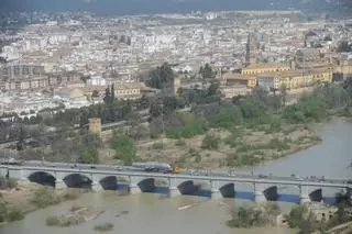 Fotogalería | Así fue el multitudinario traslado del avión de Miraflores por el centro de Córdoba