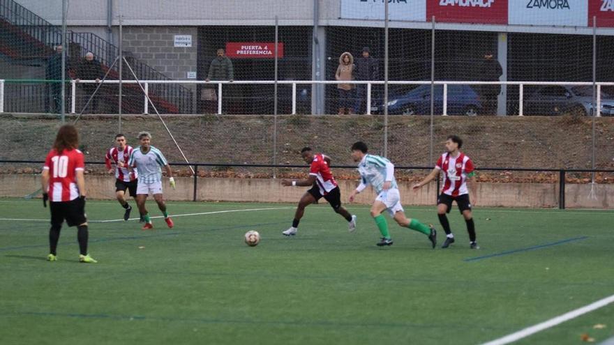 El Zamora CF "B" cede el liderato tras caer en casa ante el Betis CF