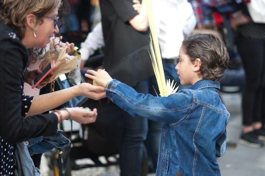 Semana Santa en Zamora: La Borriquita