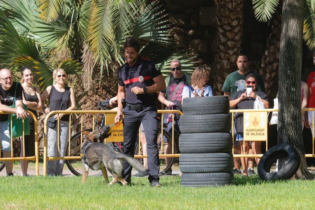 Así ha sido la Feria de los Animales en València