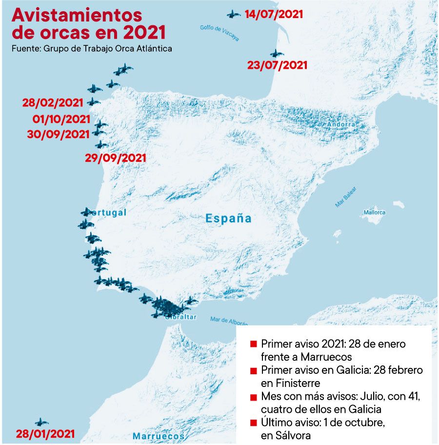 Mapa con los avistamientos registrados desde enero de este año.