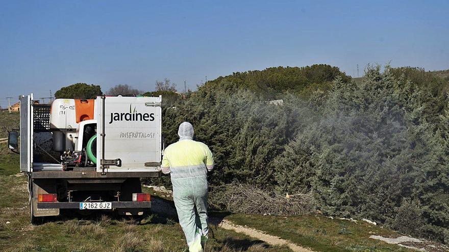 La nueva empresa de parques y jardines de Zamora alerta de “sobrecostes no advertidos”