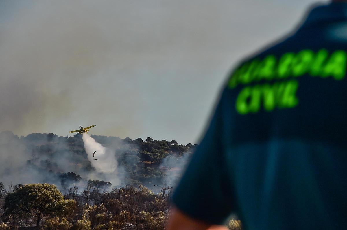 Fotogalería | Imágenes del incendio forestal en Plasencia de este jueves Fotogalería | Imágenes del incendio forestal en Plasencia de este jueves