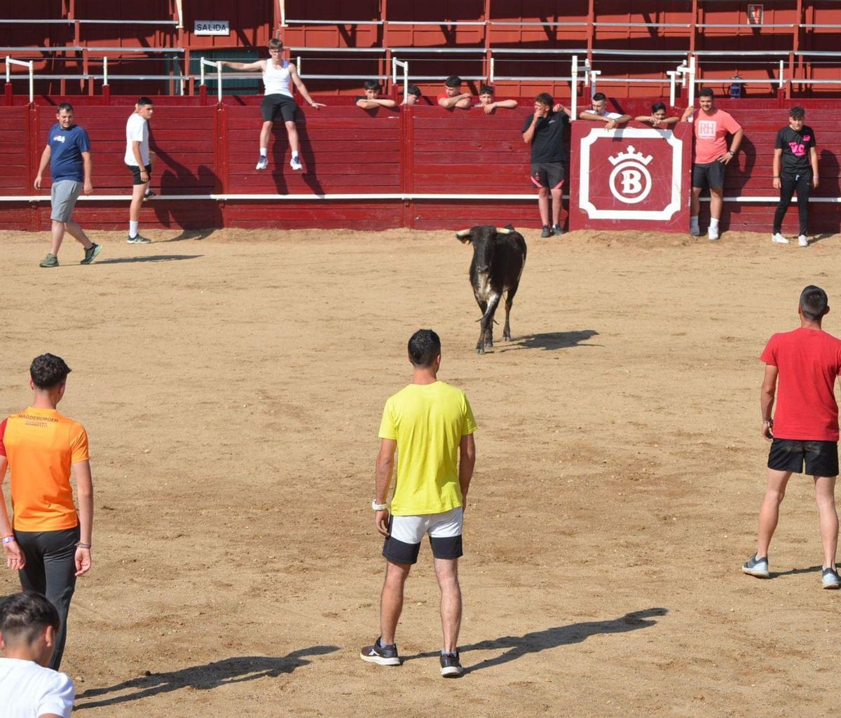 Una de las eralas durante la suelta realizada ayer en la Plaza de Toros. | FIRMA