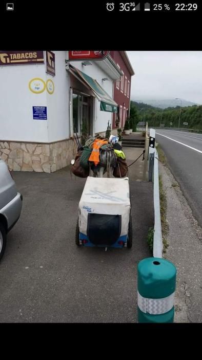 El burro pasando por Luarca