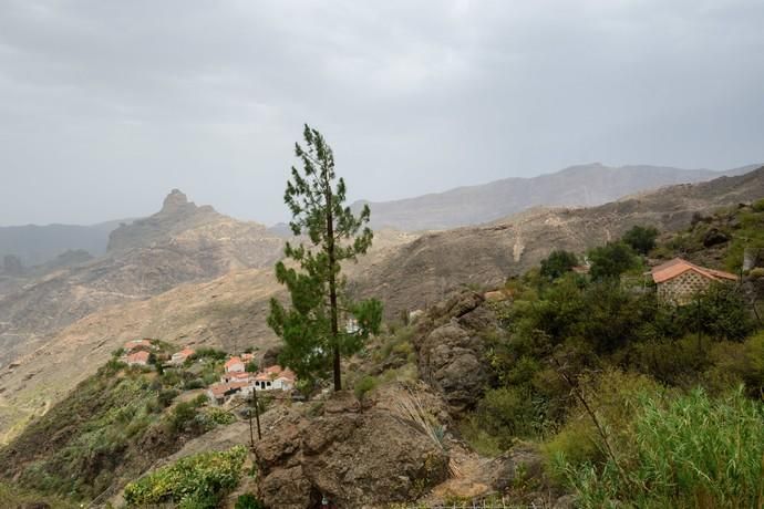 Restos del incendio en la cumbre  | 25/08/2019 | Fotógrafo: Tony Hernández