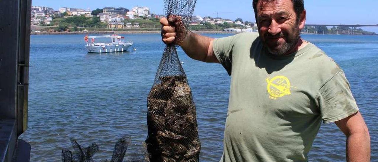 José Manuel Lojo, de Ostrastur, ayer, en Castropol, sacando ostras de la ría del Eo.