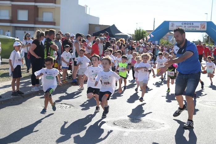 Carrera de La Palma