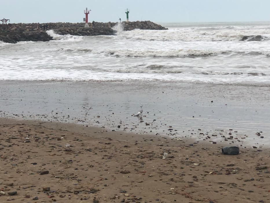 Temporal de lluvia: las mejores imágenes del paseo marítimo de València cubierto de arena