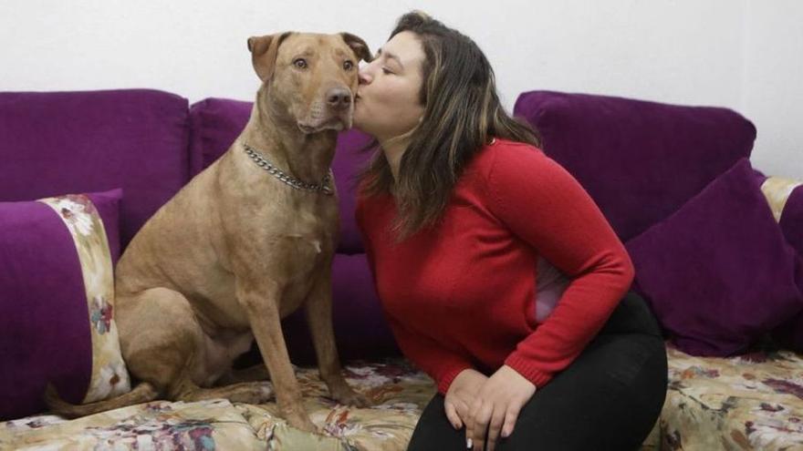 &quot;Quitarme el perro sería como arrancarme los riñones&quot;