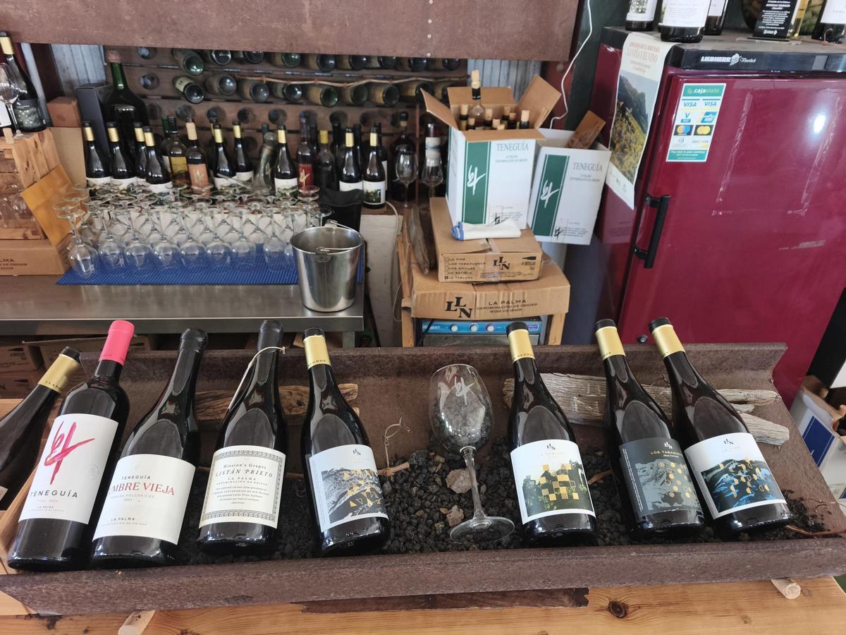 Bodegas Teneguía.