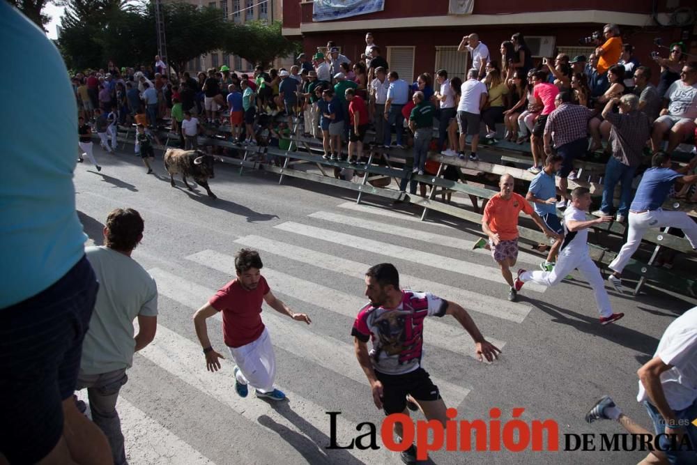 Cuarto encierro de Calasparra