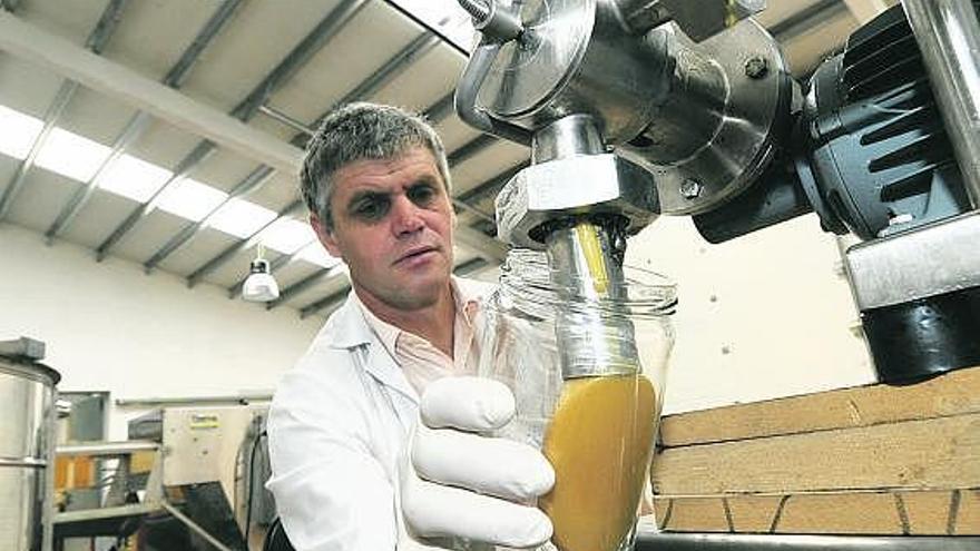 Ioan Ionika llena un bote con crema de miel en la fabrica de Cuevas de empresa Miel Río Aller.