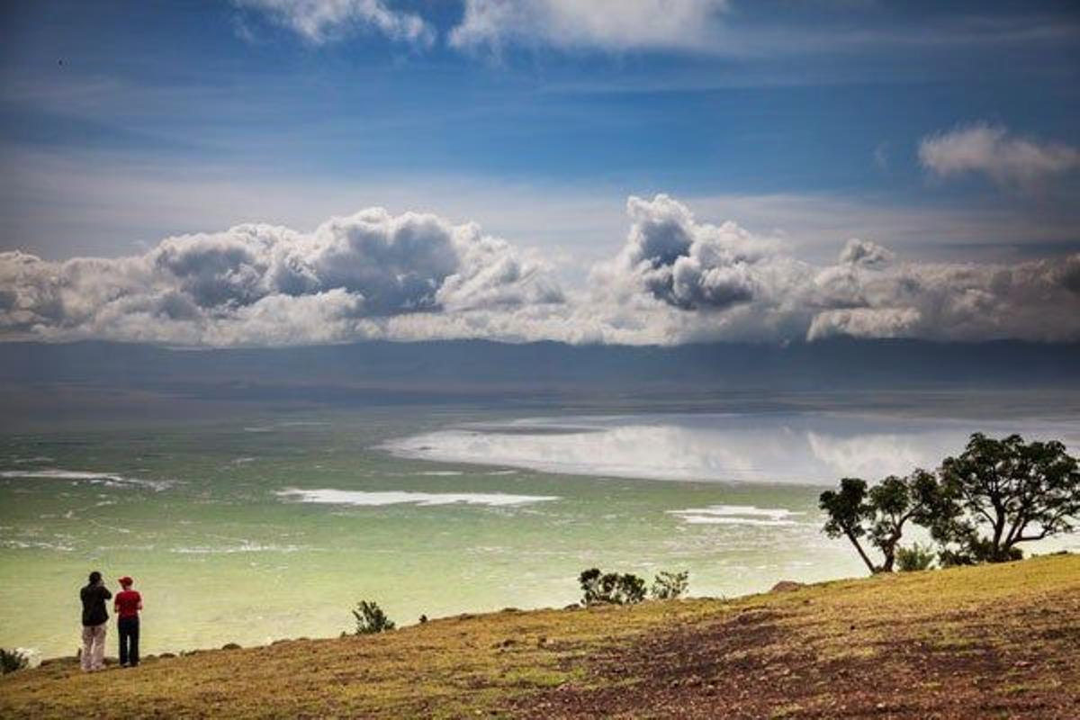 El impresionante cráter del Ngorongoro, un volcán extinto cuya caldera es una zona de conservación de animales salvajes como en rinoceronte negro.