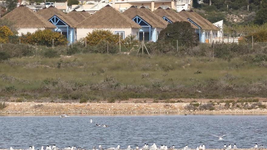 AHSA alerta de fallos de impacto ambiental en un complejo turístico junto a las salinas de El Pinet en Elche