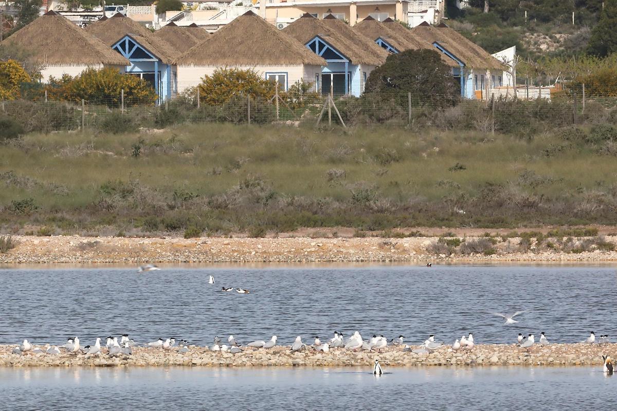 Complejo turístico junto a las salinas de El Pinet