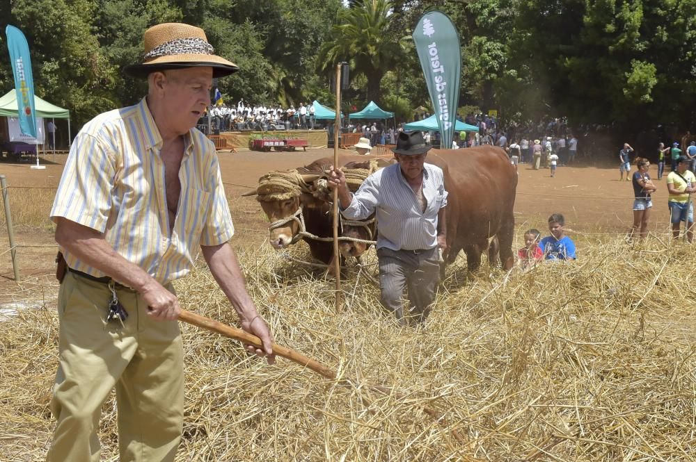 Feria de ganado