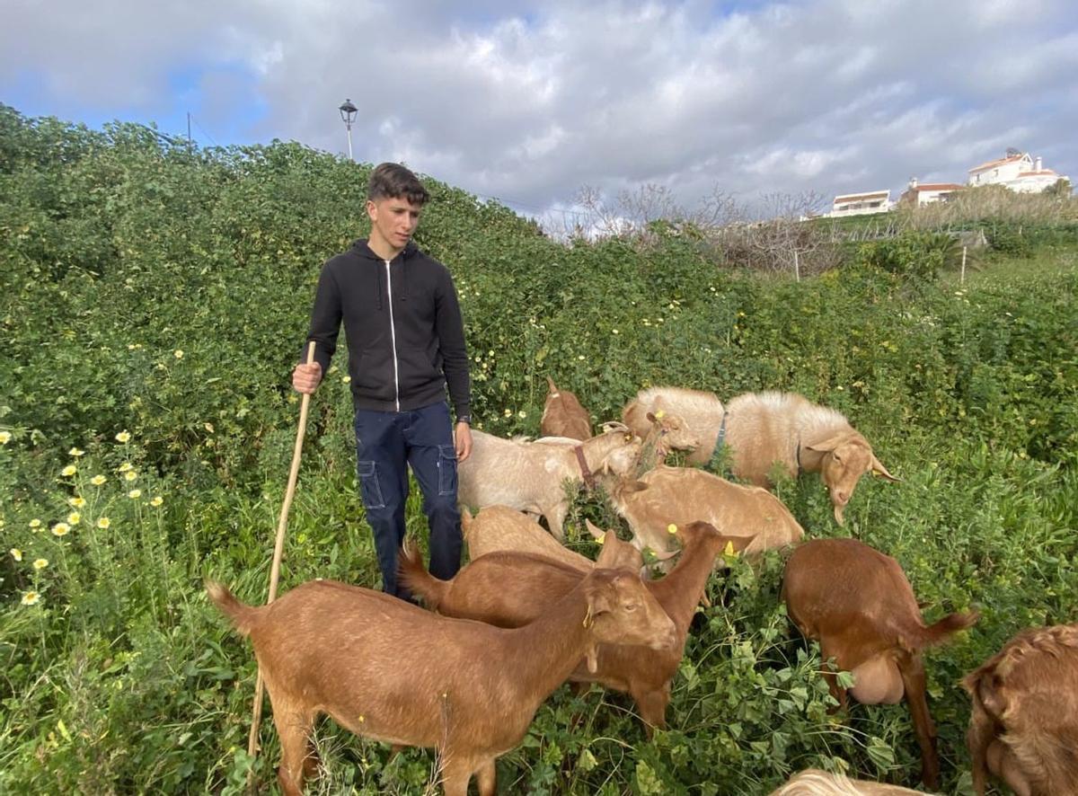 David Tomé, joven ganadero malagueño de 19 años.