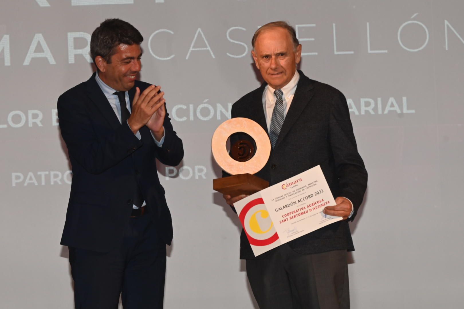 Galería: Entrega de los Premios de Cámara