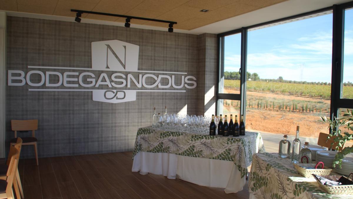 Bodegas Nodus: La finca donde se respira sostenibilidad