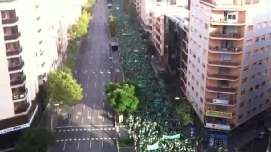 Vista aérea de la manifestación de Palma