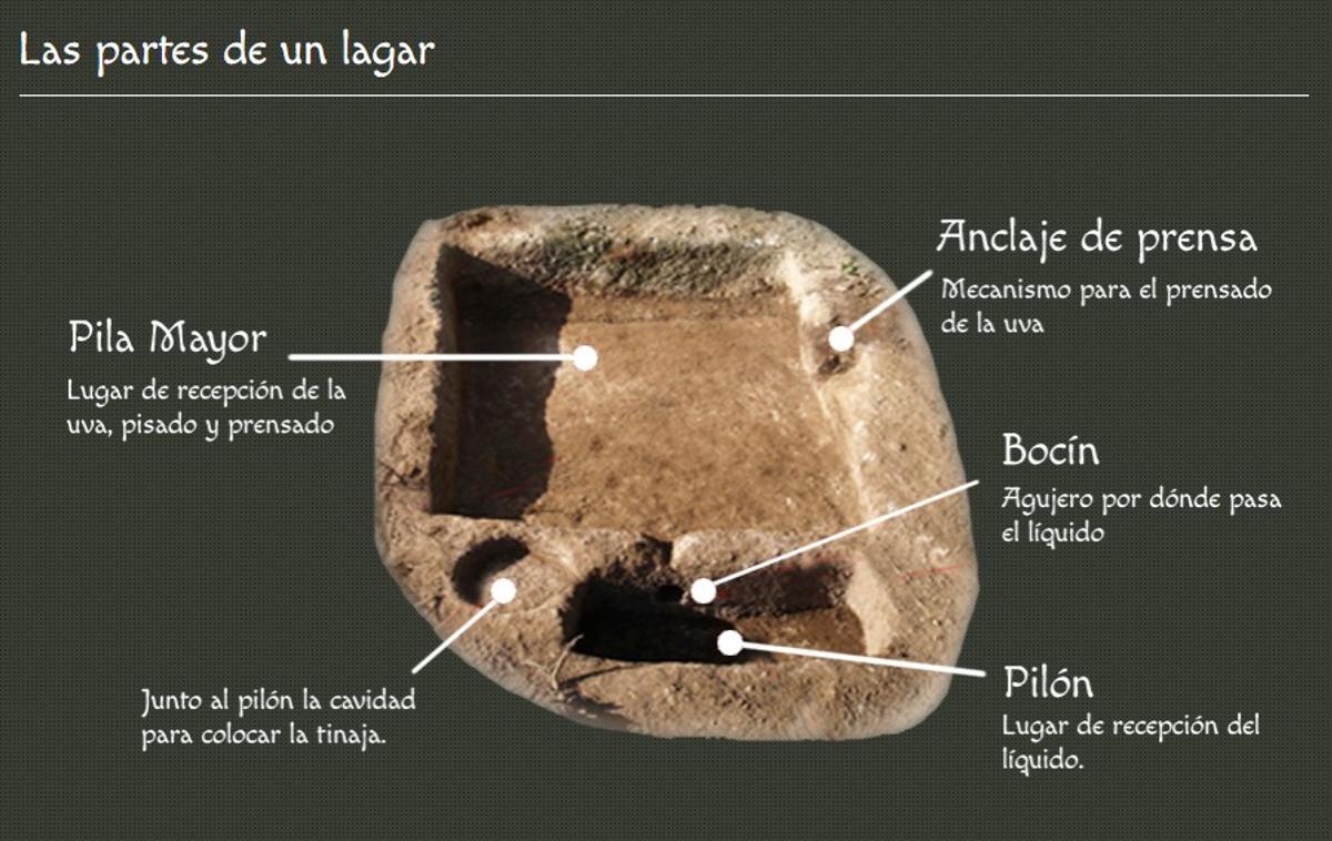 Las partes de un lagar.