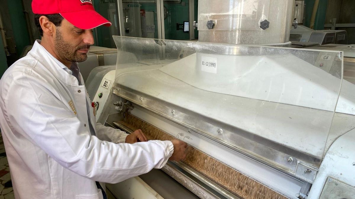 La molienda de Molino Caputo para convertir granos de trigo en harina.