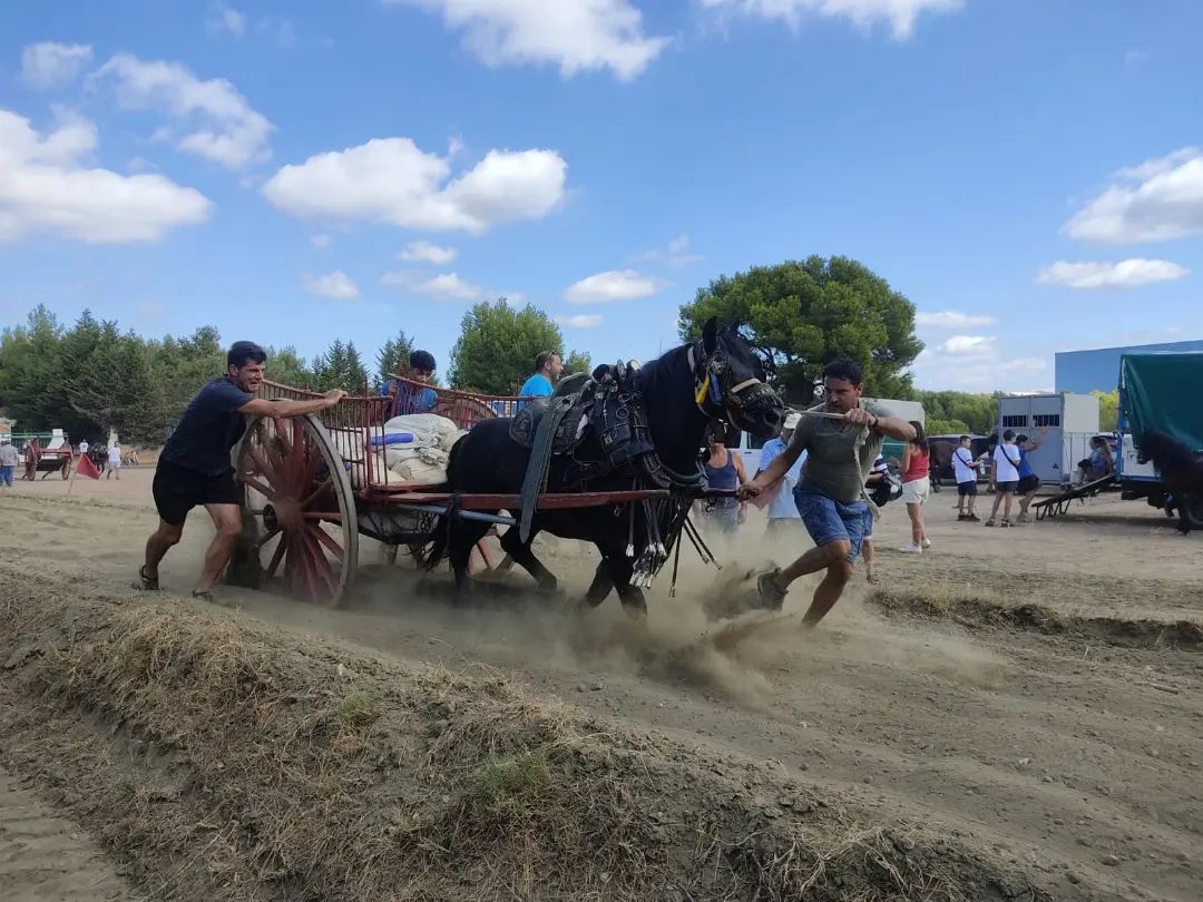 Primer fin de semana de las fiestas patronales de Altura 2022