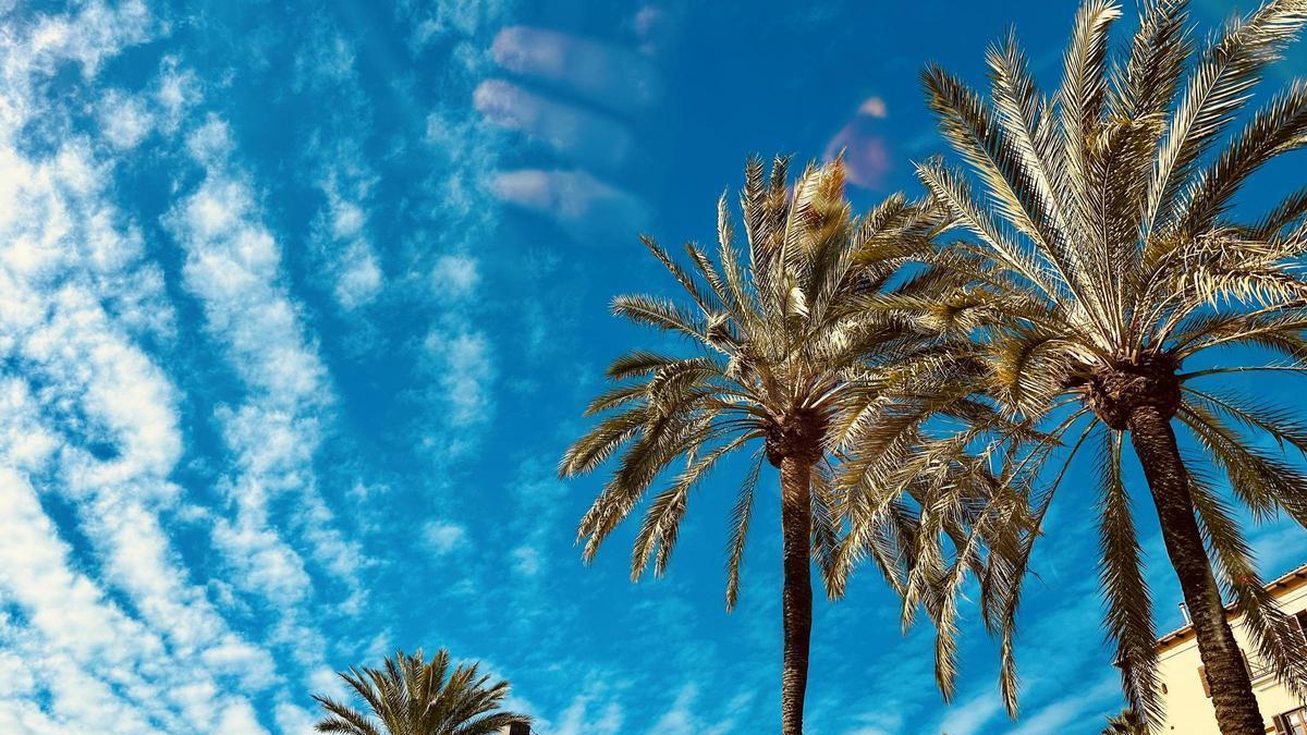 Blauer Himmel und kaum Wolken am Himmel: Das ist der Tenor für die Woche auf Mallorca.