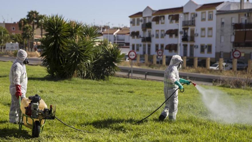 Dos trabajadores fumigan contra los mosquitos causantes del virus del Nilo